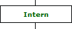 Intern